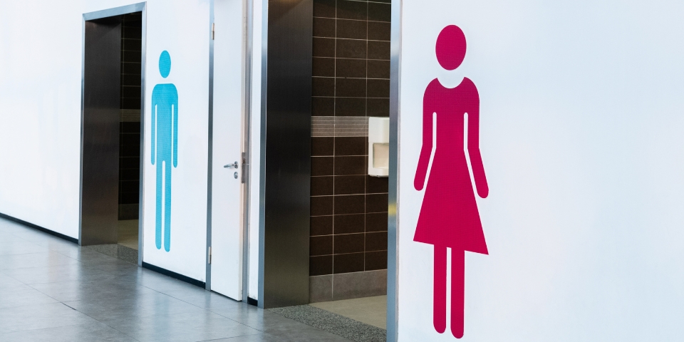 picture of ladies and gents toilets